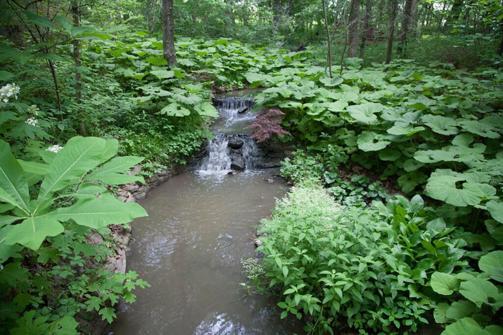 Waterfall at Powell Gardens