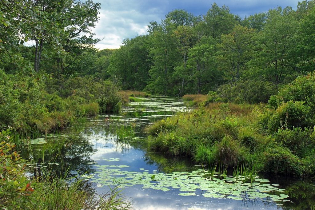 Nature park