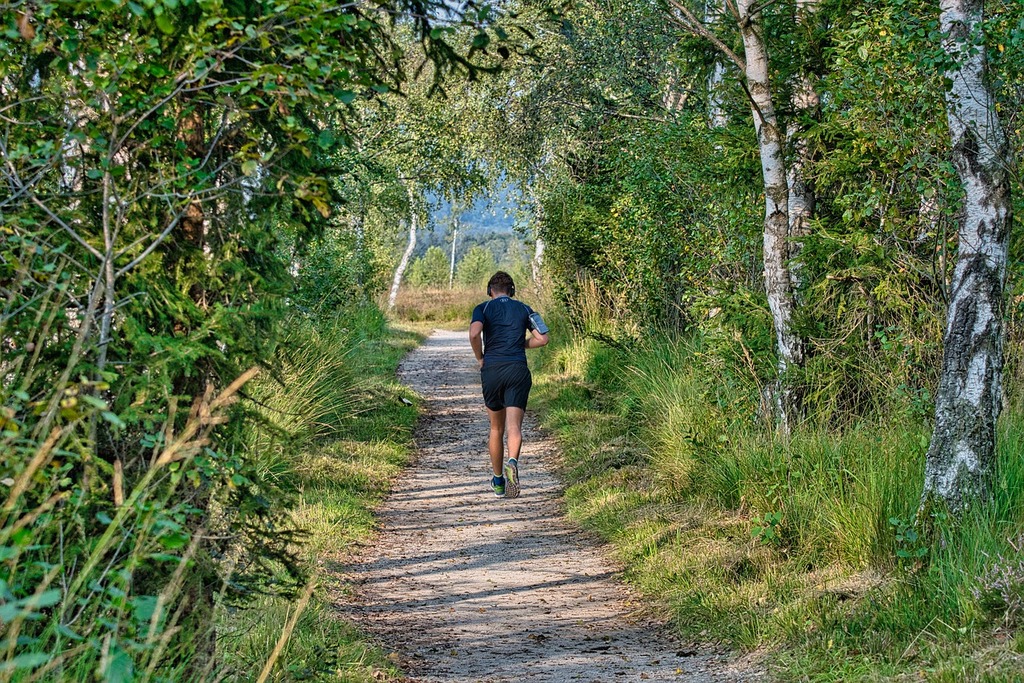 Jogging trail
