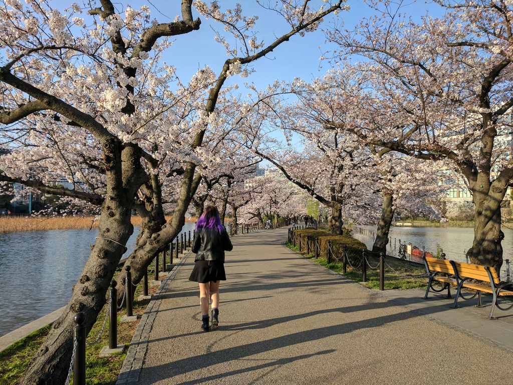Ueno Park - Tokyo, Japan