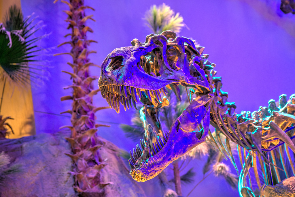 Indianapolis Childrens Museum 8-5-2015-7