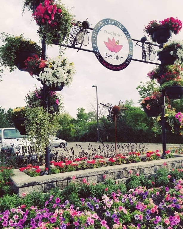 things to do in oshawa canada | explore downtown oshawa