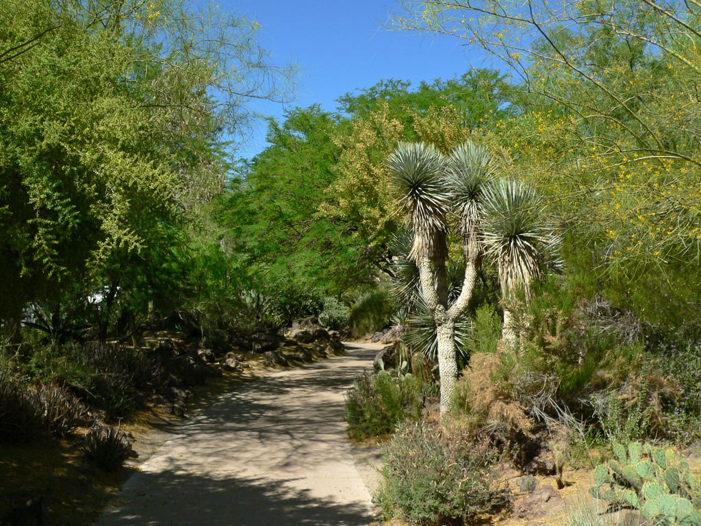 Ethel M Botanical Cactus Garden 3