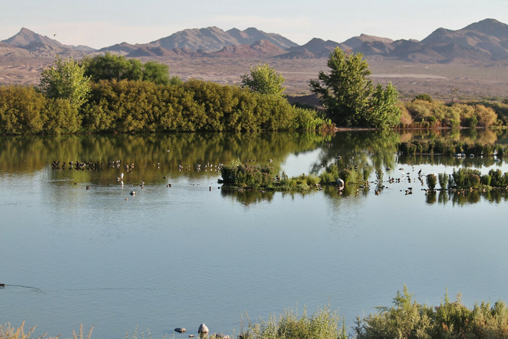Henderson Bird Viewing Preserve