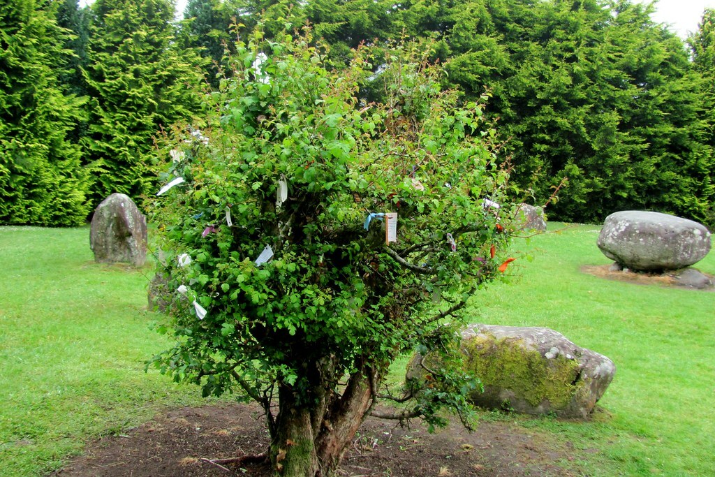 Tree with messages, Kenmare Stone Circle