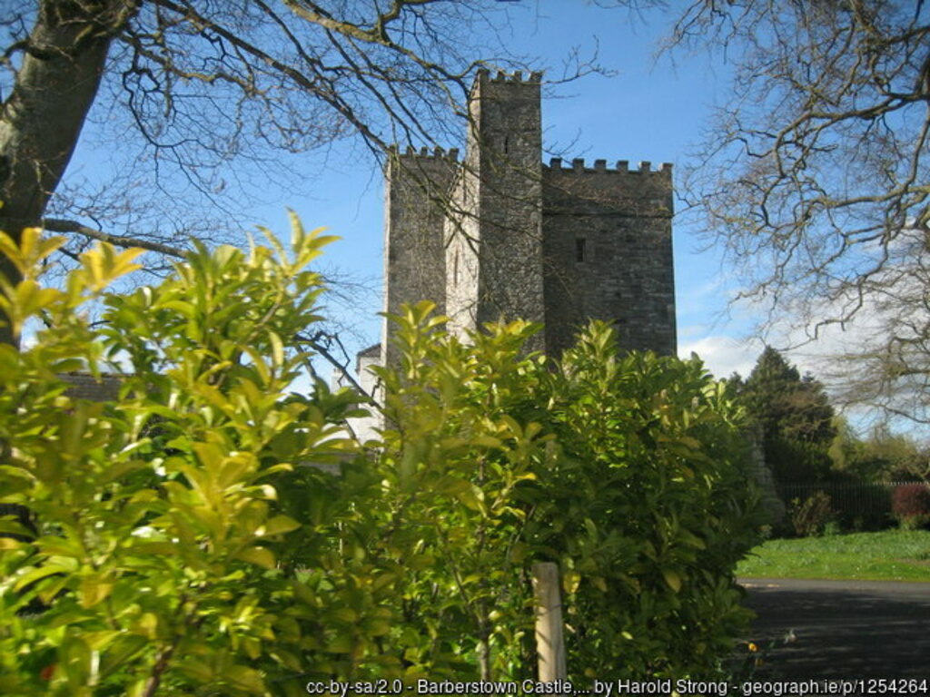 Barberstown Castle, Straffan. Co Kildare