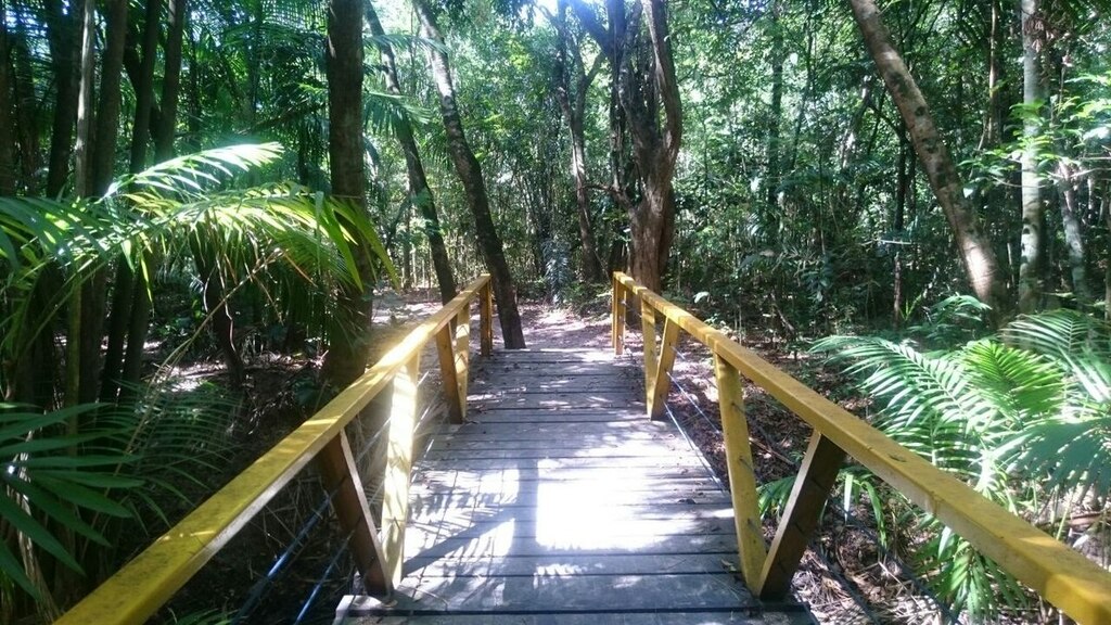 Parque Municipal do Mindu, localizado no coração de Manaus