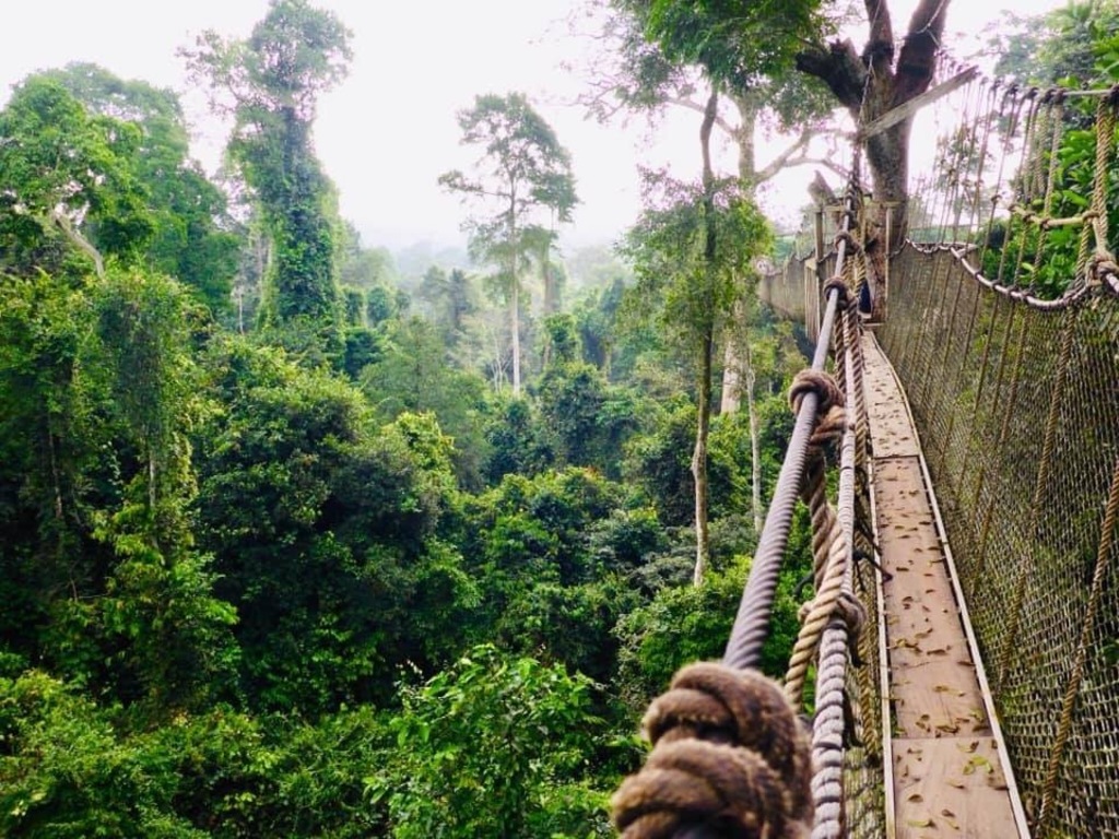 Kakum national park