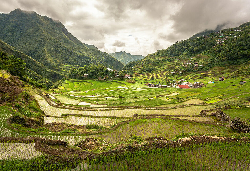 Inside the Batad rice terraces