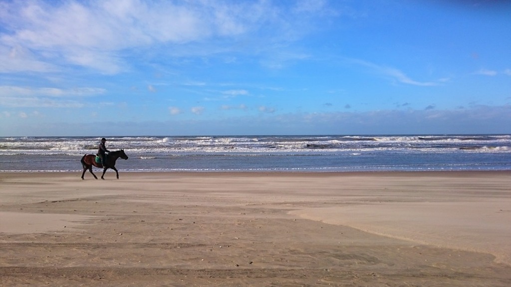 Horseback riding on the beach