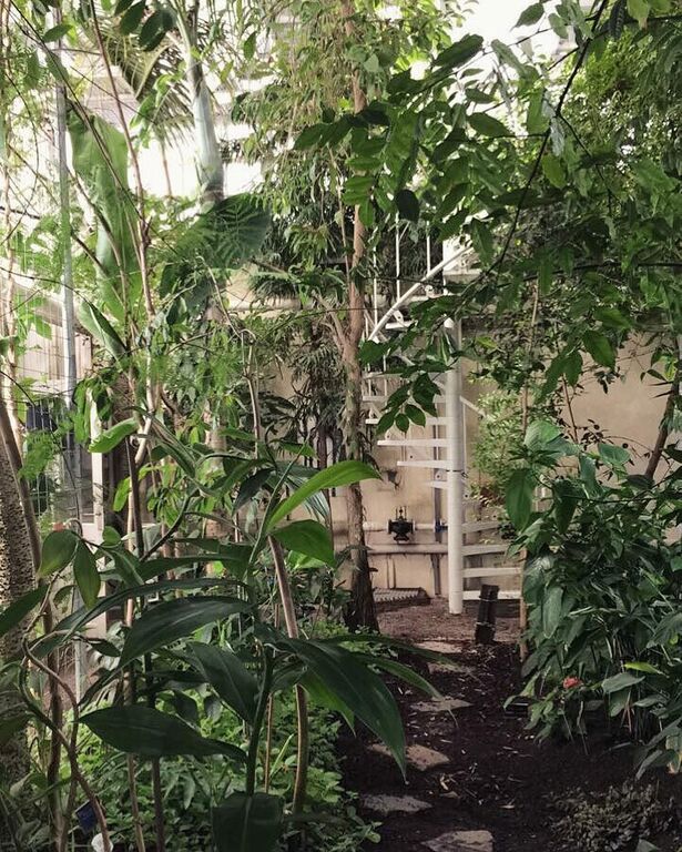 things to do in delft | explore the wonders of tu botanical garden