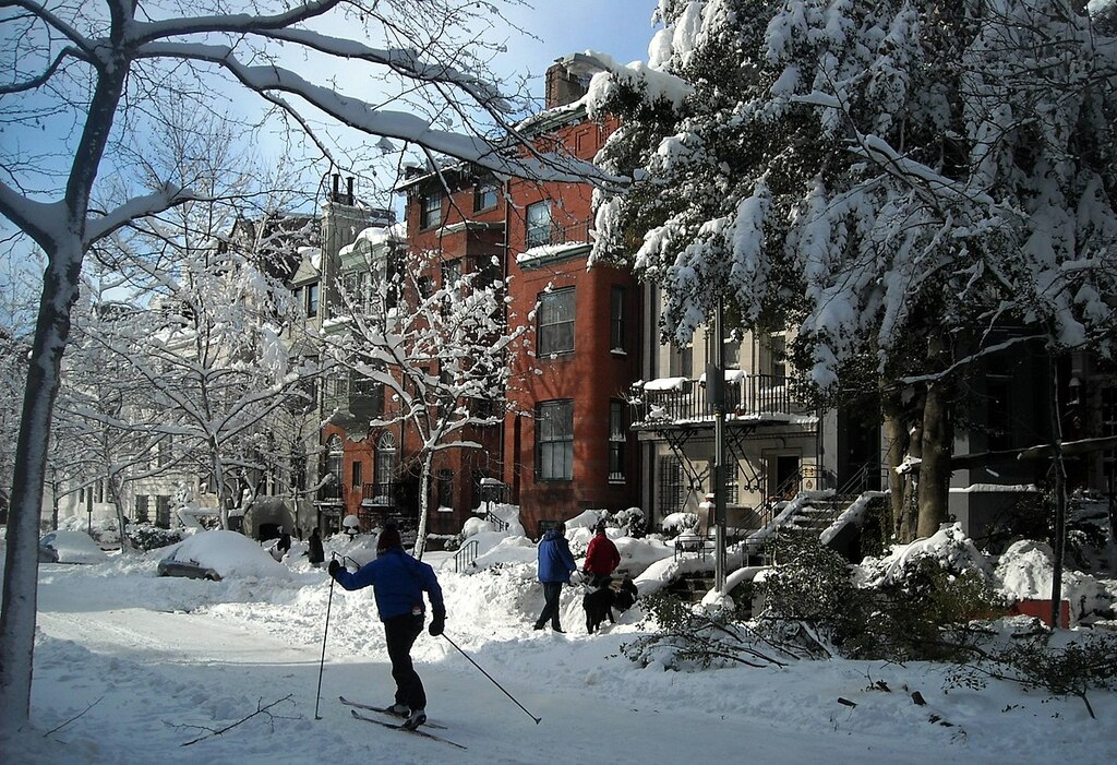 Cross-country skiing on Q Street, N.W.