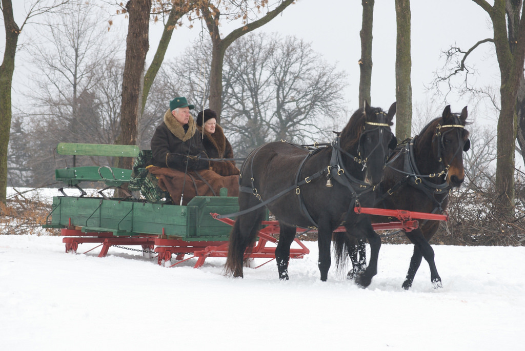 2010 St. Paul Winter Carnival Sleigh and Cutter Festival