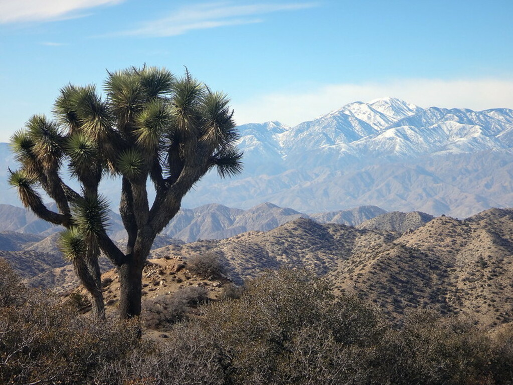 San Gorgonio Mountain peak