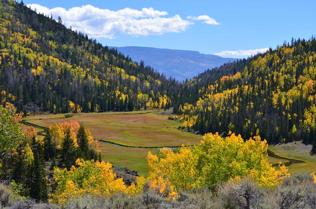 Zedds Meadow in the Fall_FishLakeVicinity092314_22