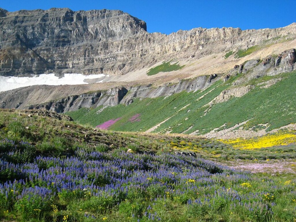 Mount Timpanogos