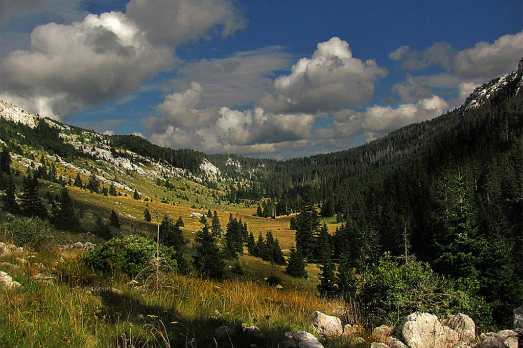 Lomska-Duliba Uvala NatPark-Velebit Dinarides Croatia