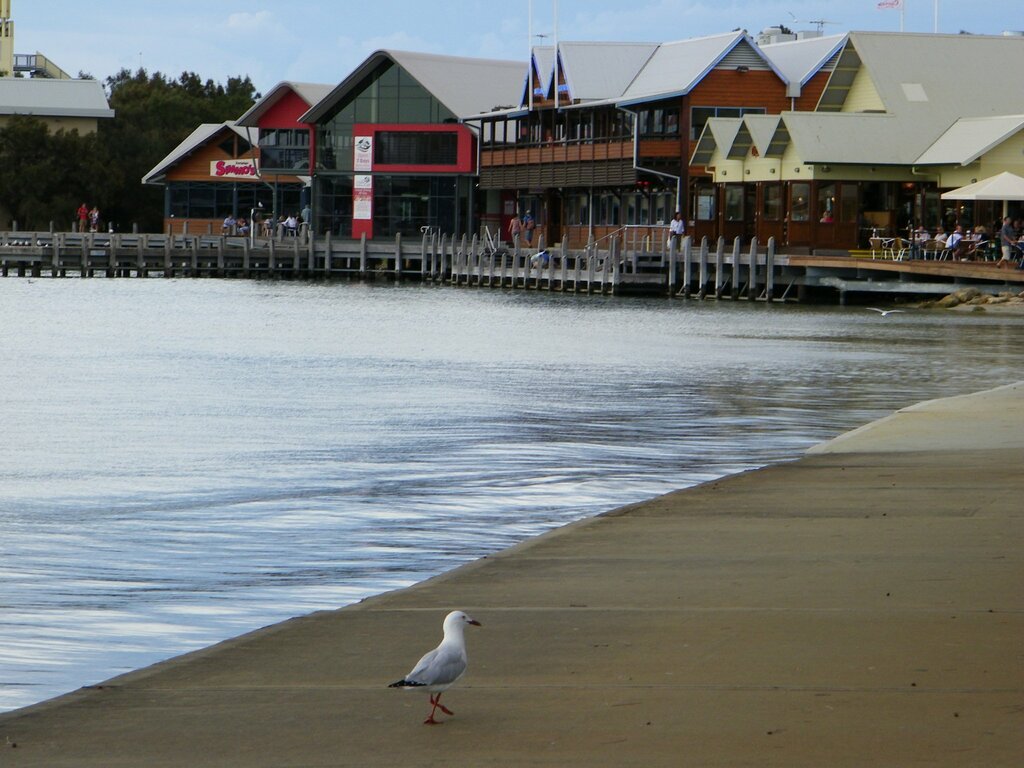 Mandurah Foreshore 1