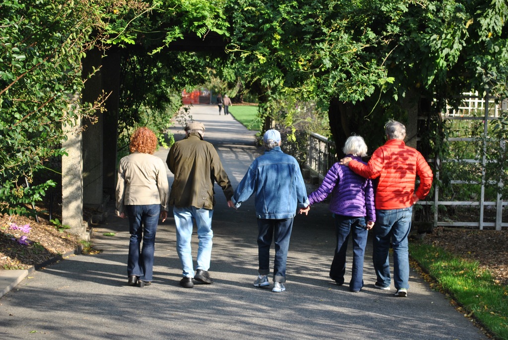 A beautiful stroll in the chilly gardens