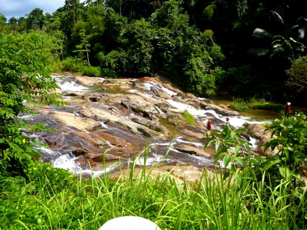 enjoy nature at khao chong wildlife and conservation centre