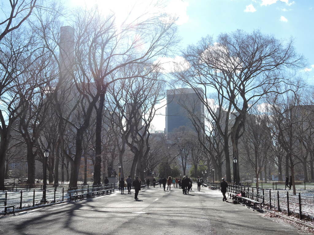 The Mall - Central Park