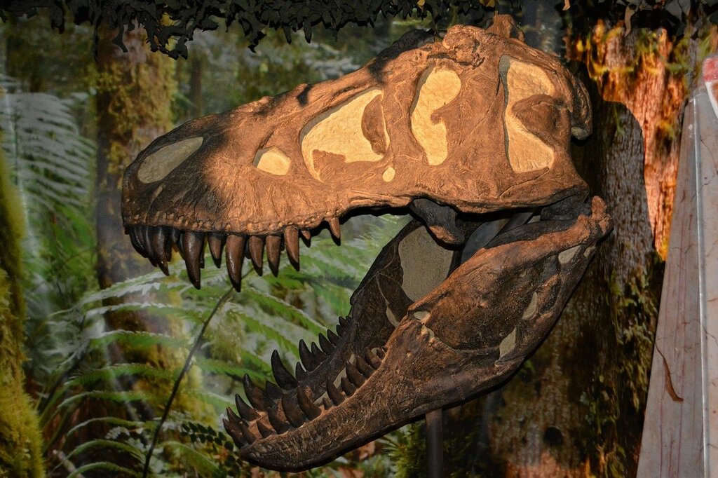 Dinosaur model