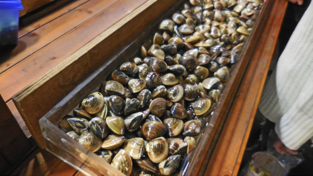 night markets in kaohsiung | seafood, anyone?