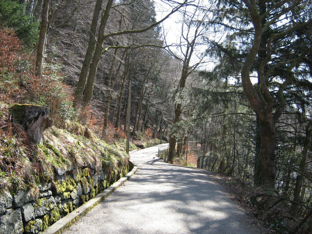 Fjellveien2