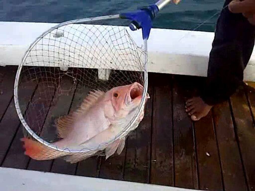 things to do in kepulauan | go out to the sea and fish!