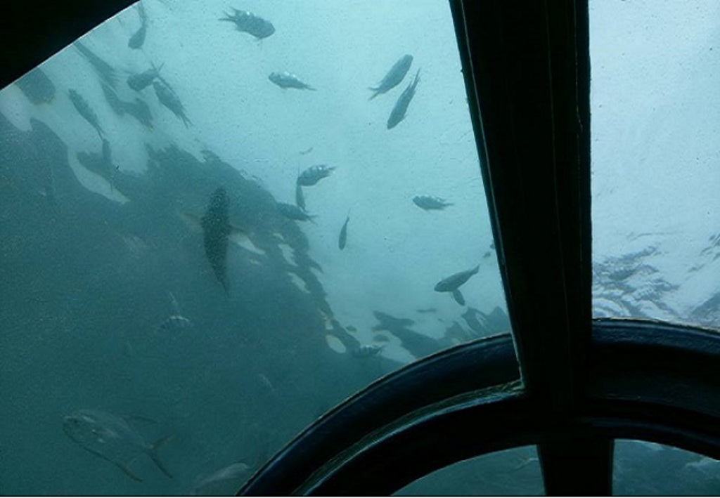 things to do in kepulauan | see underwater life at putri island