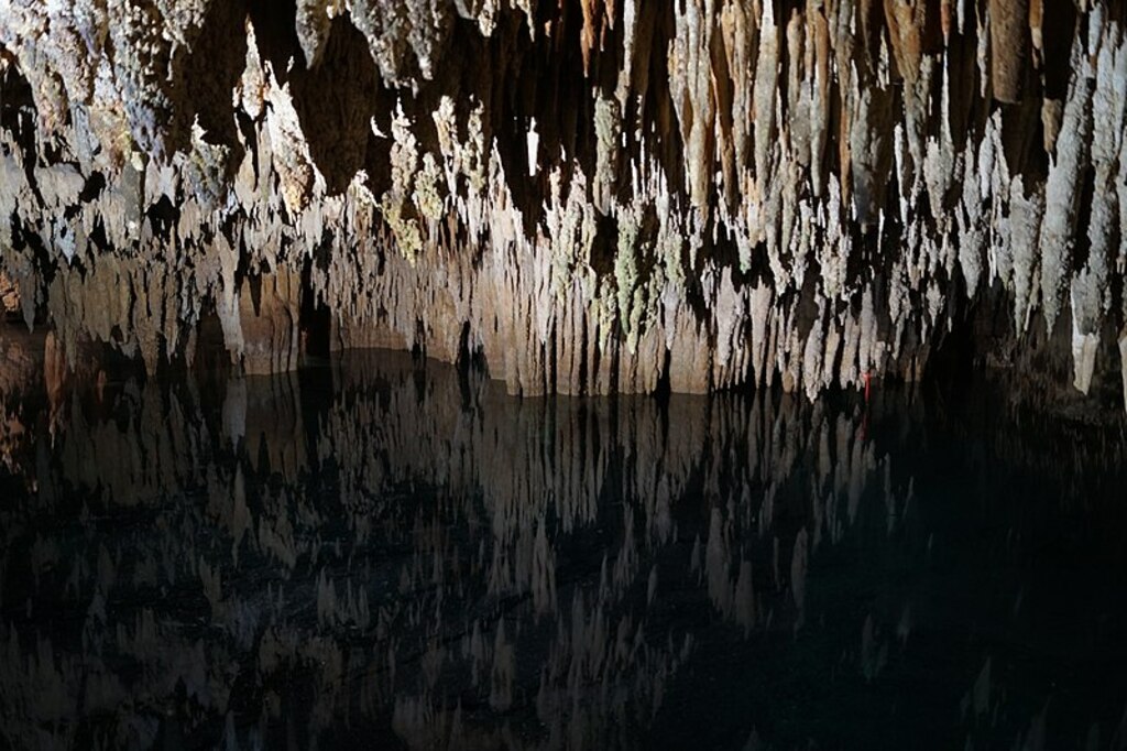 Cenote de Aktun Chen (2)