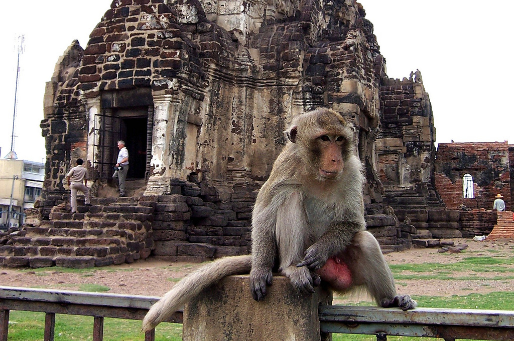 Hanging Out in Lopburi