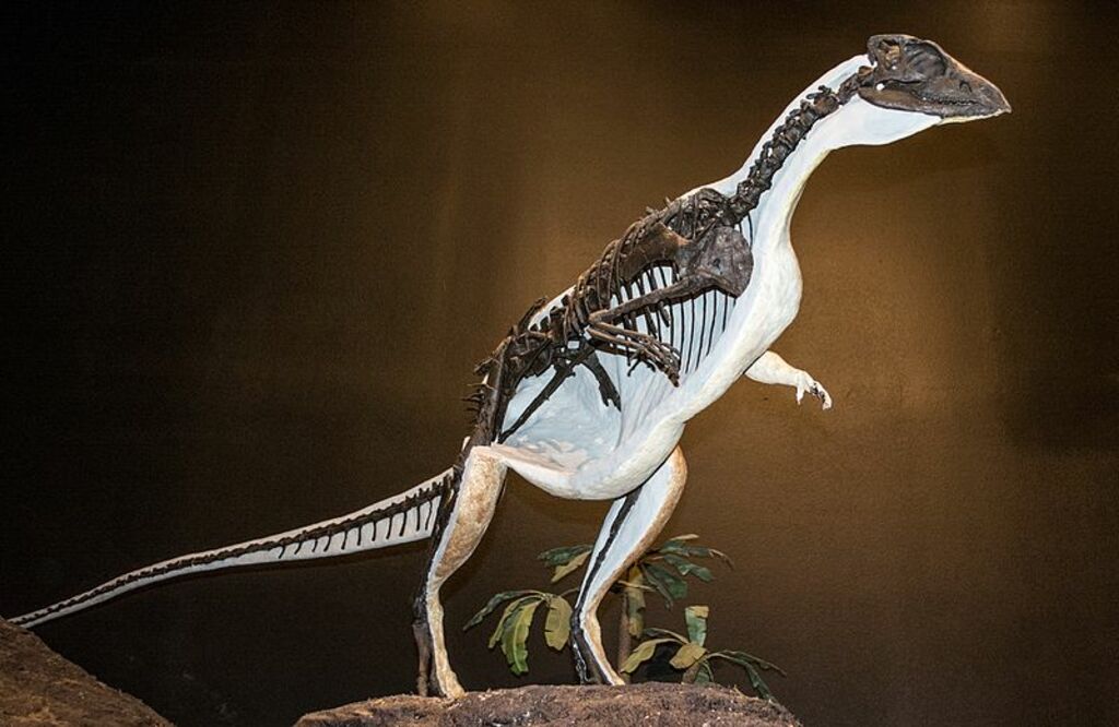 Oryctodromeus cubicularis - Museum of the Rockies
