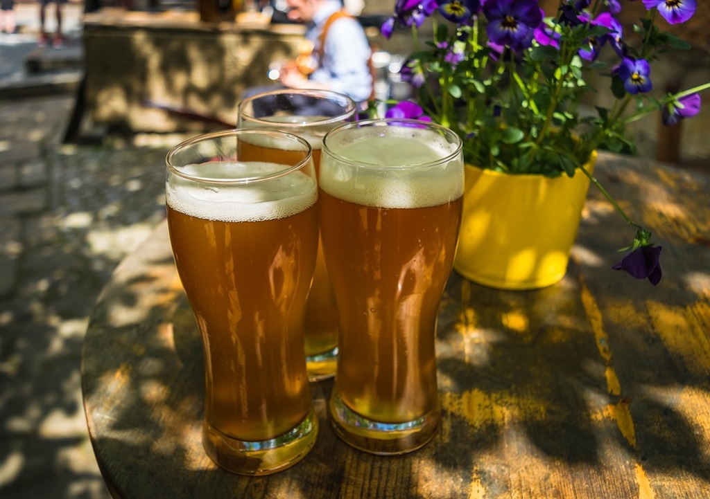 experience beer tasting in philipsburg
