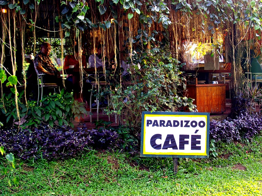 Paradzoo wiki