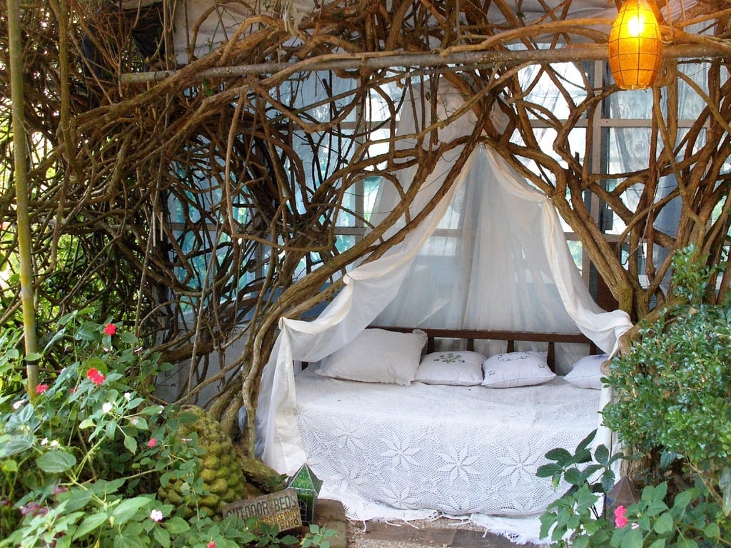 6.sonya's garden