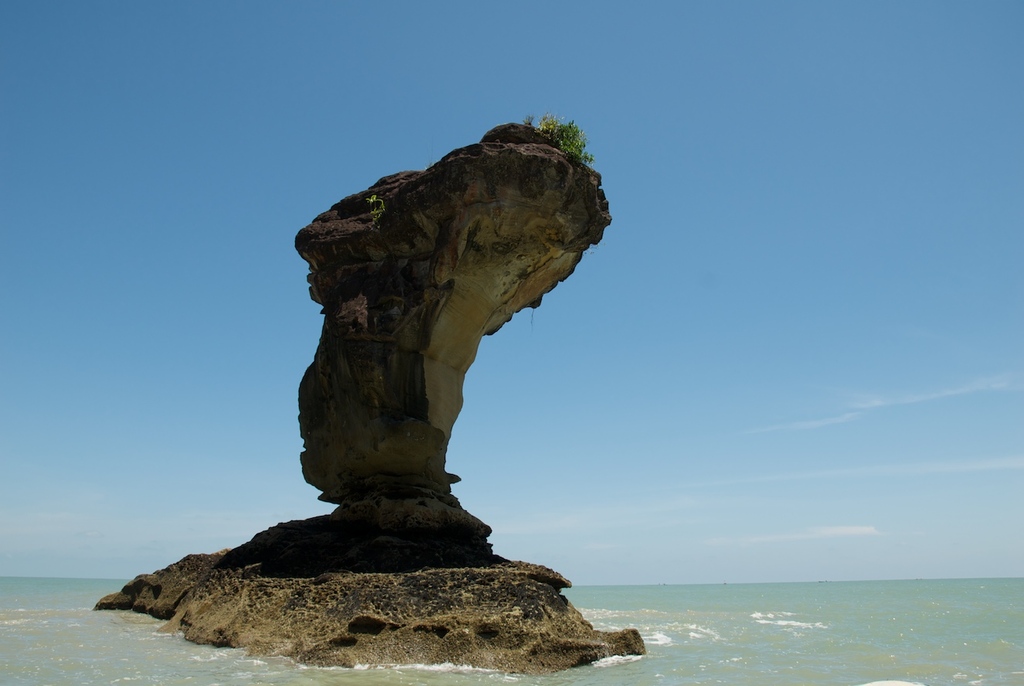 Bako National Park (3679460540)