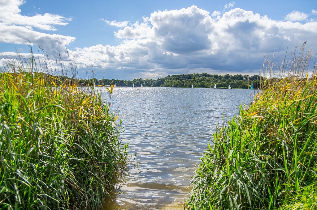 Frensham Great Pond