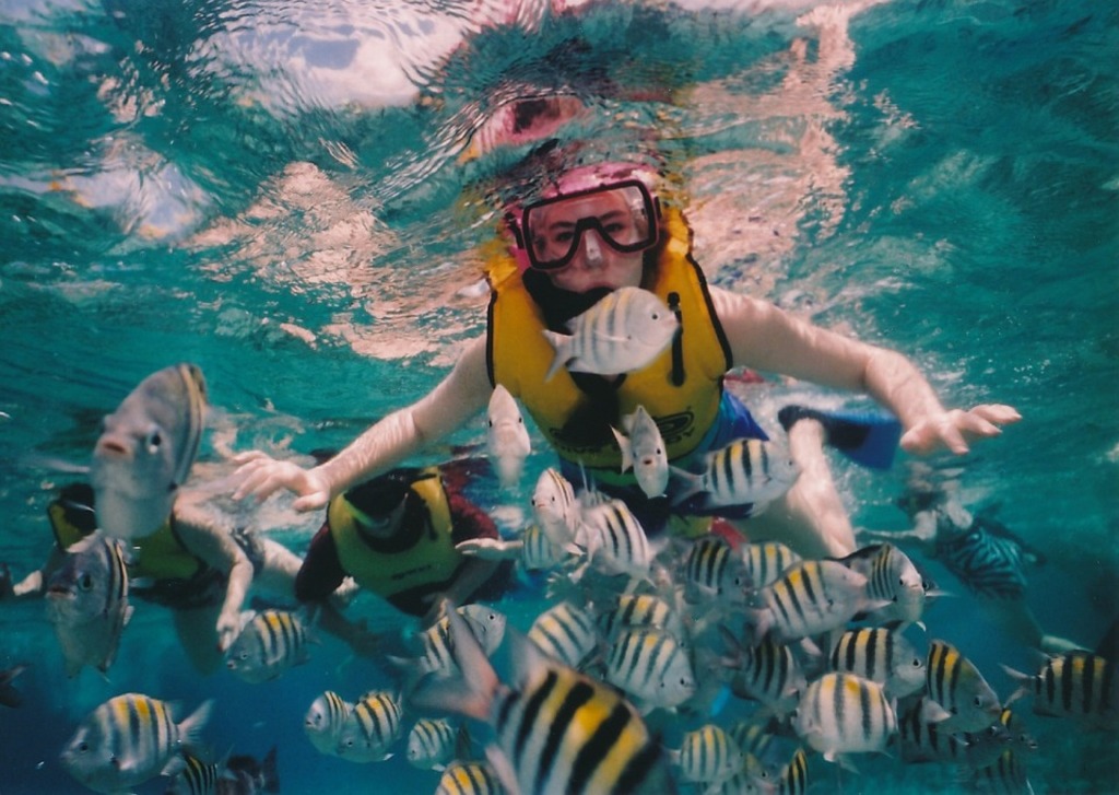 things to do in rincon | tres palmas marine reserve