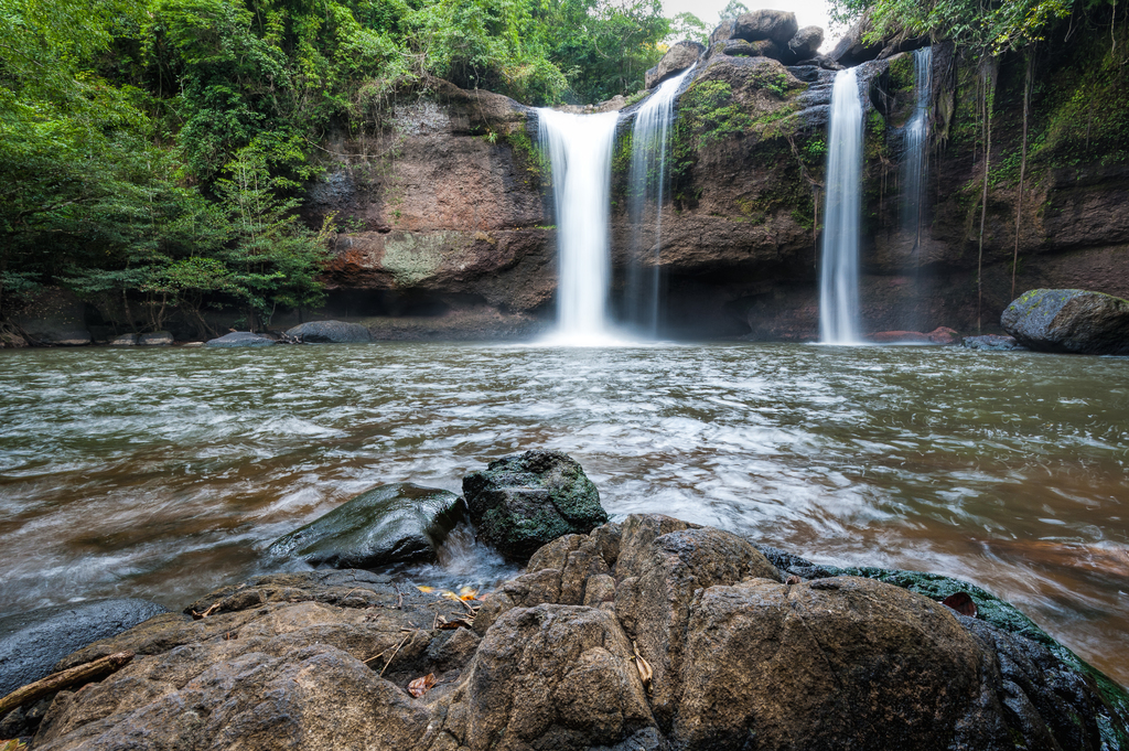 1001 Khao Yai National Park 1