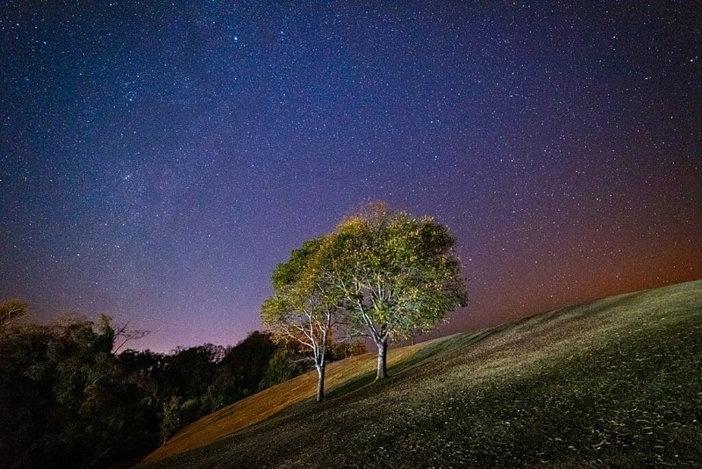 Night scene Duo tree Doi Samer Dao Sri Nan National Park