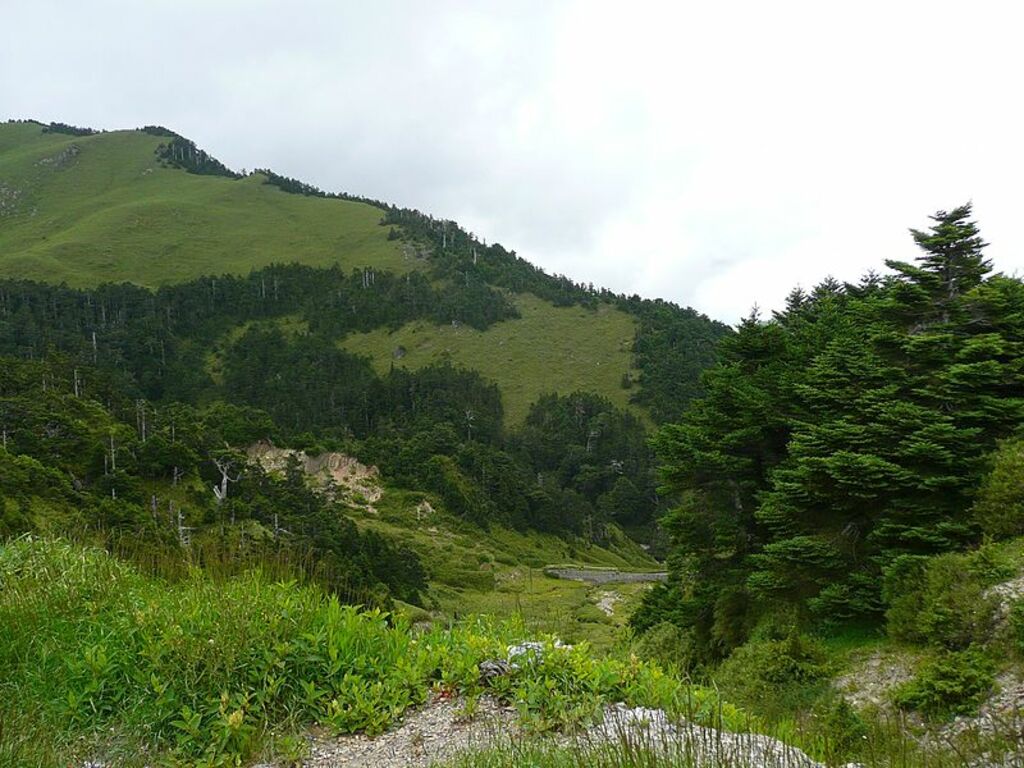 合歡山 Hehuan Mountain - panoramio