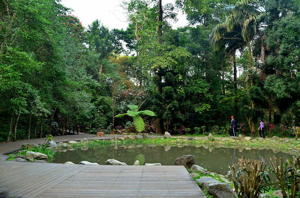 Shanzihding Botanical Garden ecology pond, Chiayi City (Taiwan)