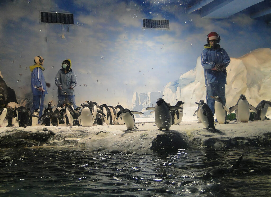 National Museum of Marine Biology and Aquarium, Taiwan 02