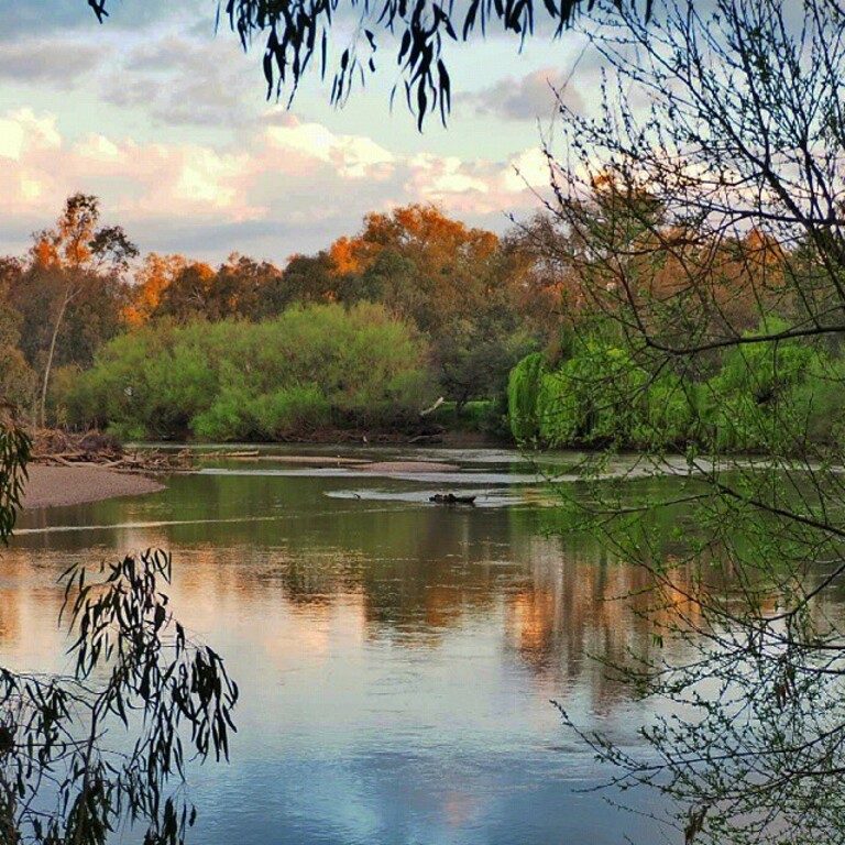 things to do in albury australia | picnic day at mungabareena reserve
