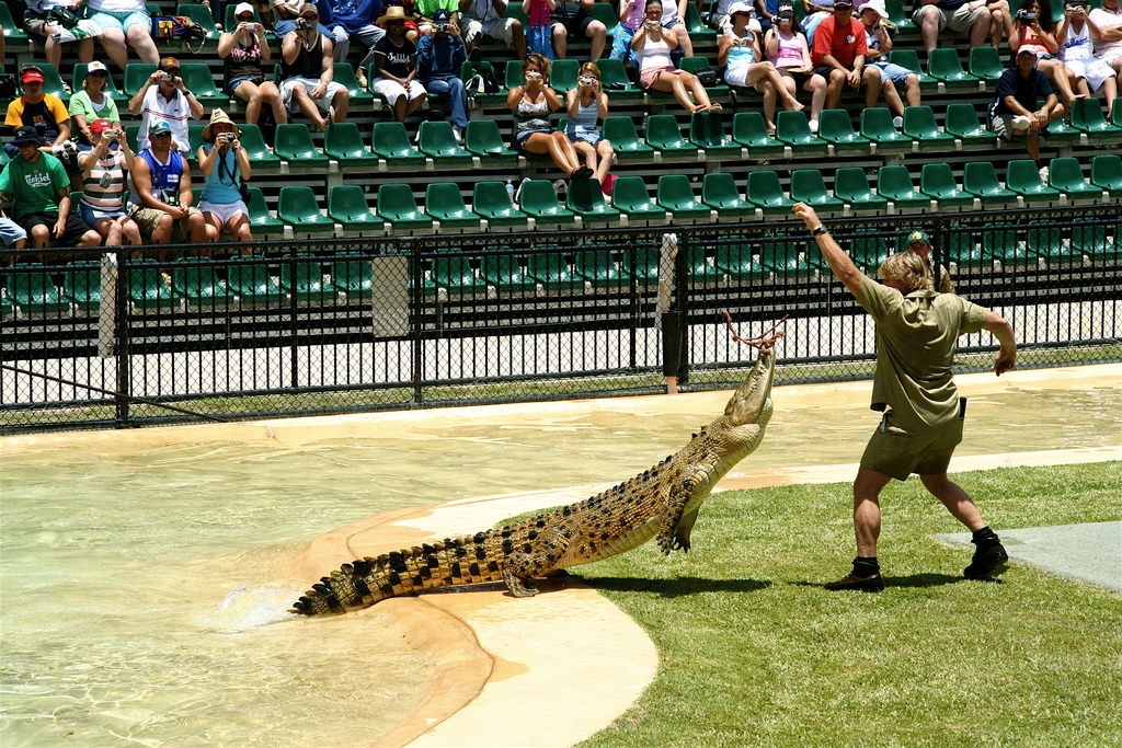 Steve irwin at Australia zoo