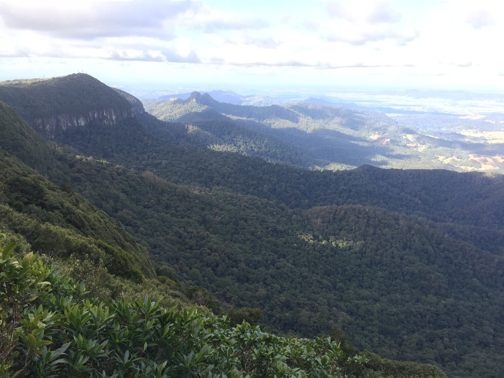 Best Of All Lookout Springbrook National Park