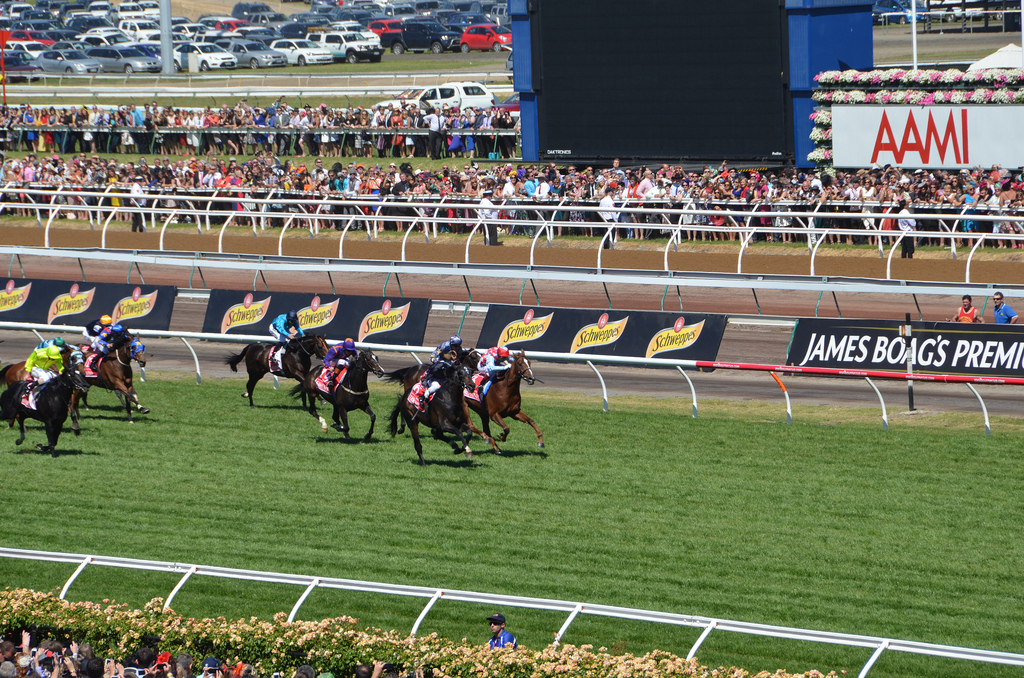 Melbourne Cup 2013