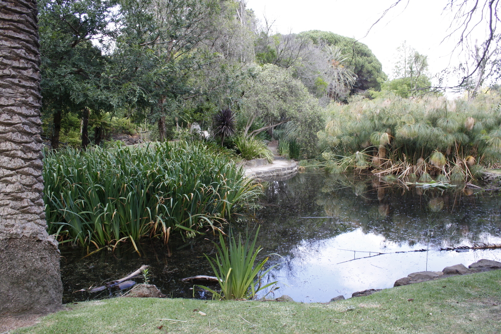 Hedgeley Dene Gardens Mel 1b