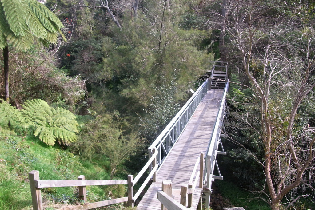 Fred Hollows Reserve Glebe Gully
